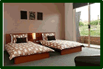 Book Fergusson Vineyard Studio Accommodation