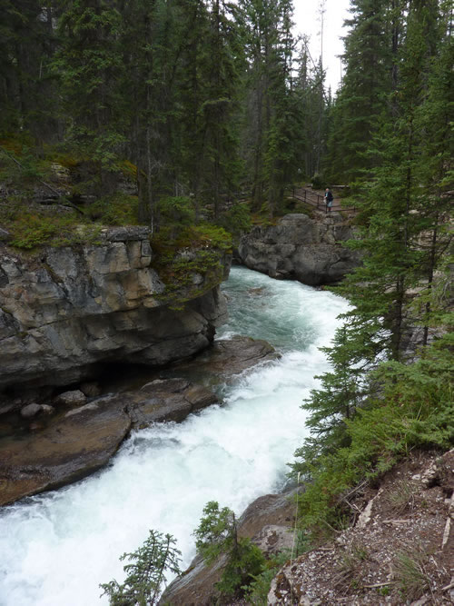 maligne falls