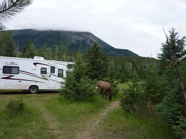 jasper campground