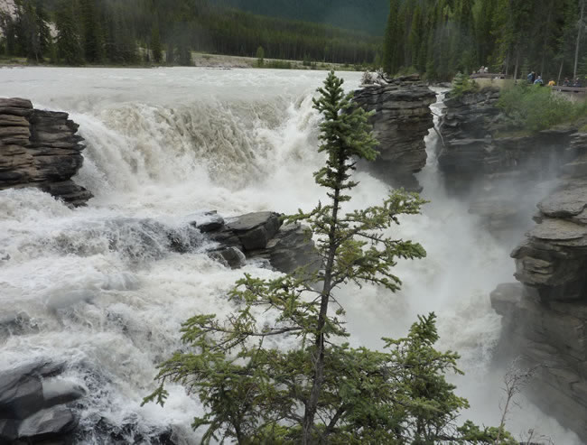 athabasca falls