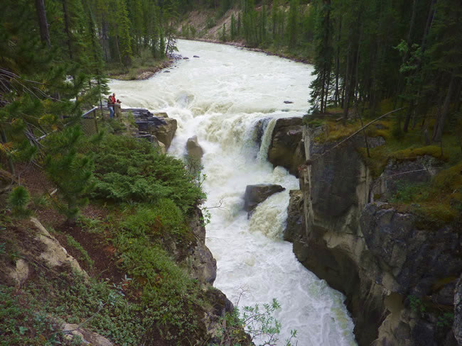 Sunwapta Falls