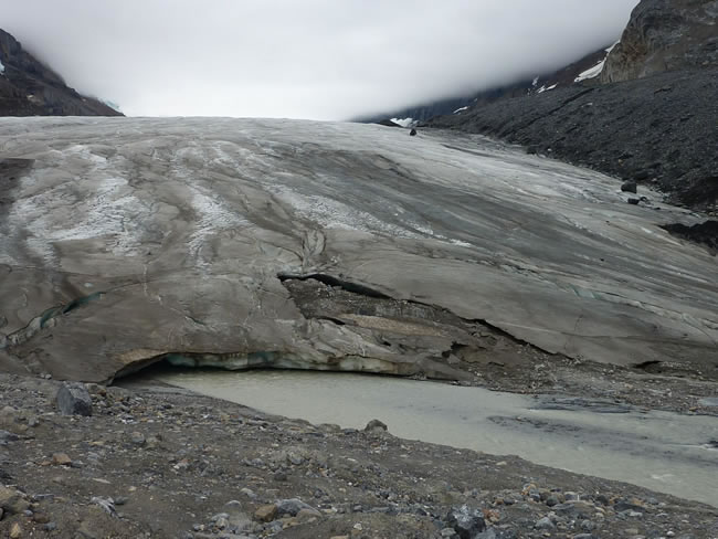 athabasca glacier